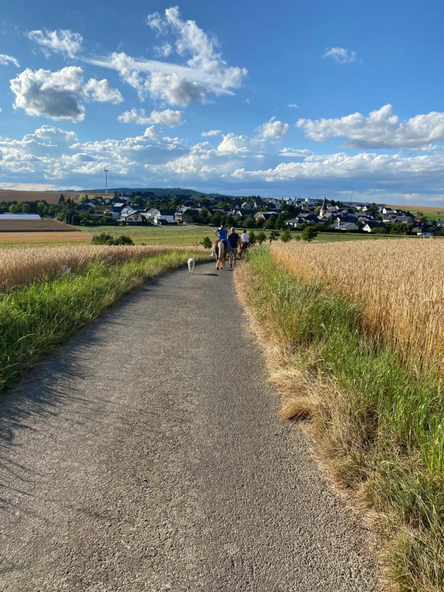 Landhof Lieg - Tierische Auszeit In Unseren Gemuetlichen Ferienwohnungen 外观 照片